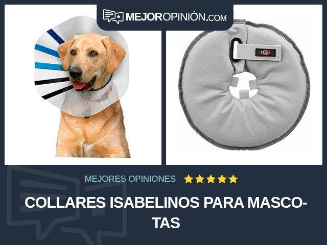 Collares isabelinos para mascotas