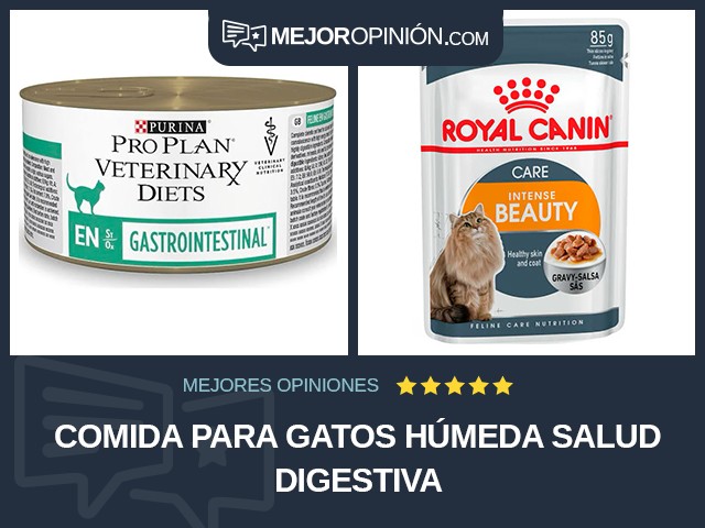 Comida para gatos Húmeda Salud digestiva