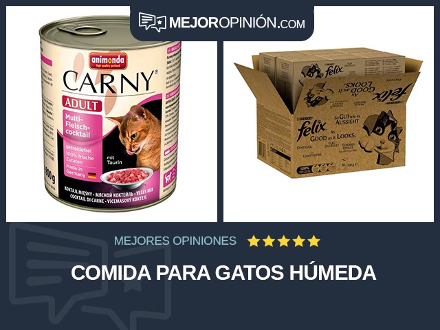 Comida para gatos Húmeda