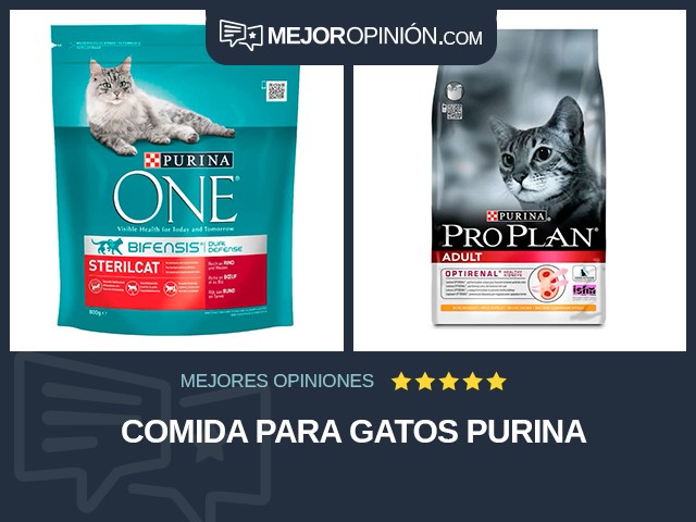 Comida para gatos Purina