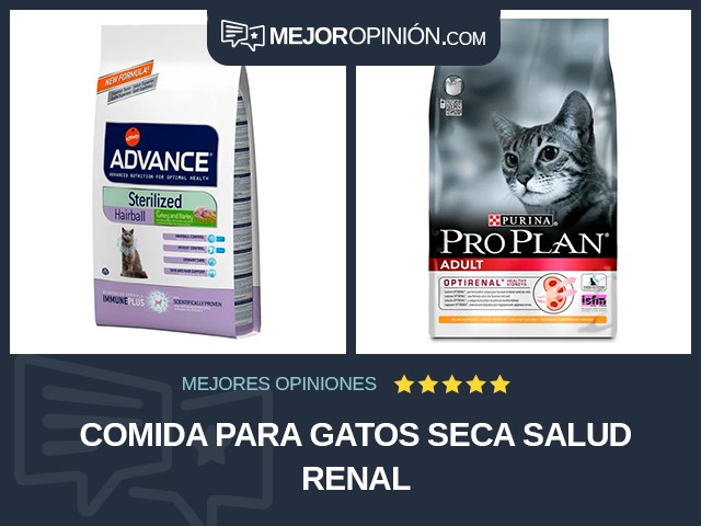 Comida para gatos Seca Salud renal