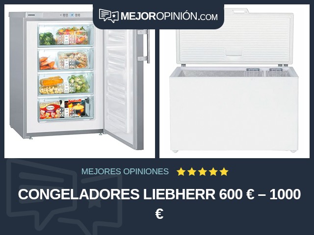 Congeladores Liebherr 600 € – 1000 €