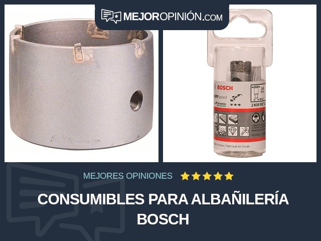 Consumibles para albañilería Bosch