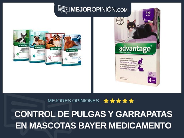 Control de pulgas y garrapatas en mascotas Bayer Medicamento