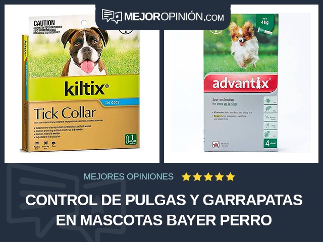 Control de pulgas y garrapatas en mascotas Bayer Perro