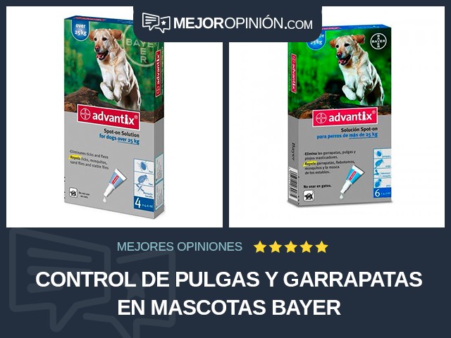 Control de pulgas y garrapatas en mascotas Bayer