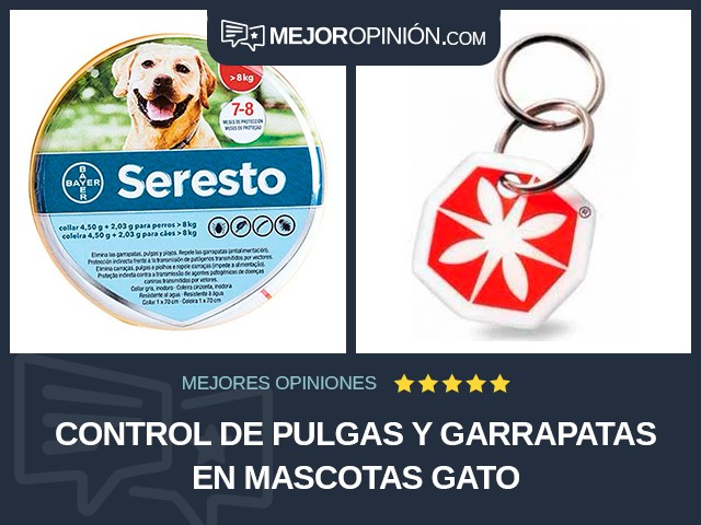 Control de pulgas y garrapatas en mascotas Gato