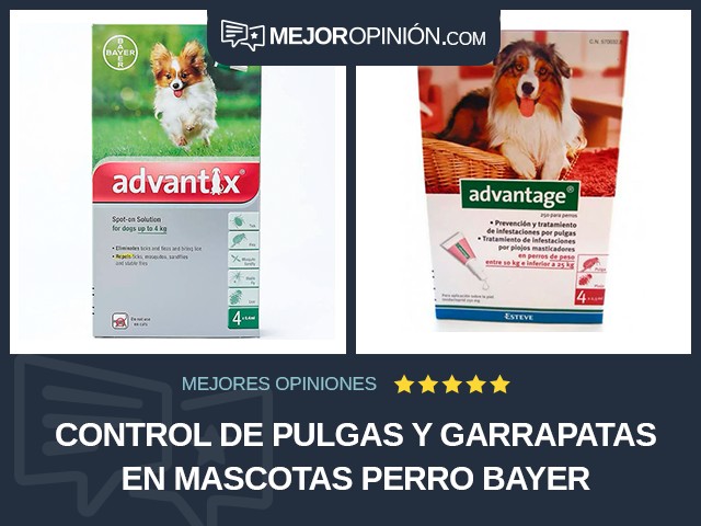 Control de pulgas y garrapatas en mascotas Perro Bayer