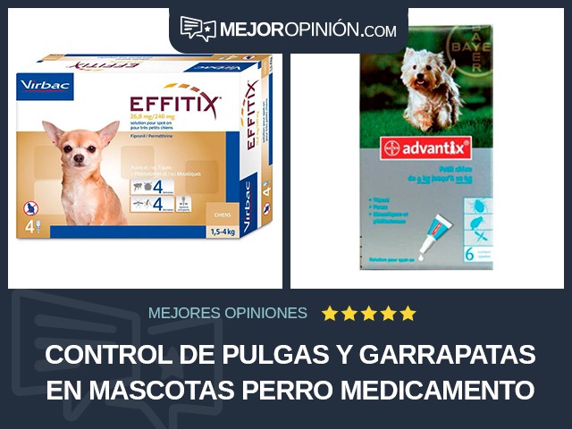 Control de pulgas y garrapatas en mascotas Perro Medicamento