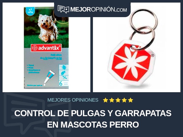 Control de pulgas y garrapatas en mascotas Perro