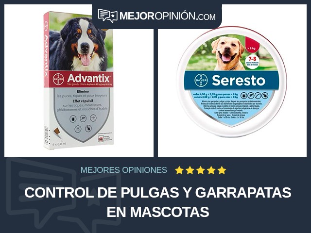 Control de pulgas y garrapatas en mascotas