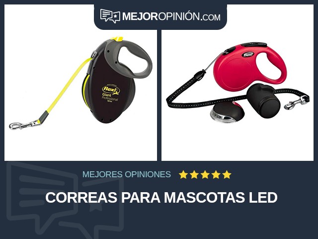 Correas para mascotas LED