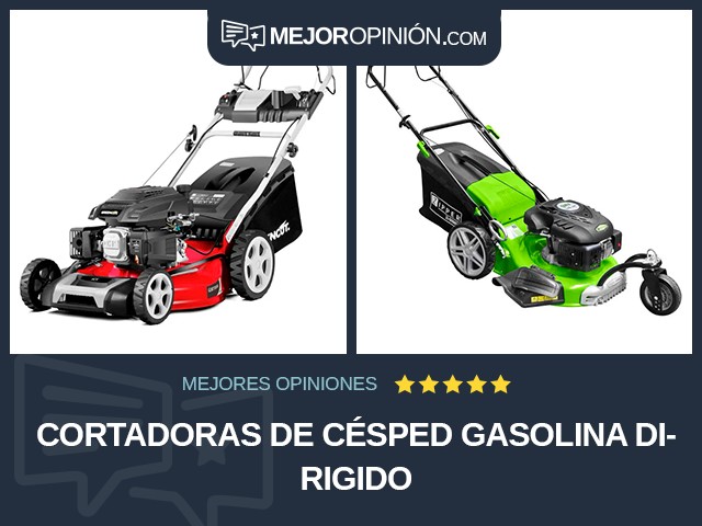 Cortadoras de césped Gasolina Dirigido