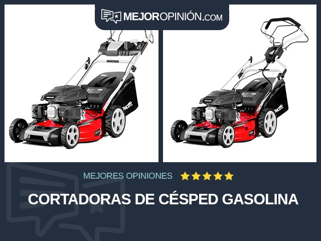 Cortadoras de césped Gasolina