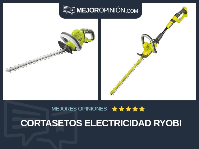 Cortasetos Electricidad RYOBI