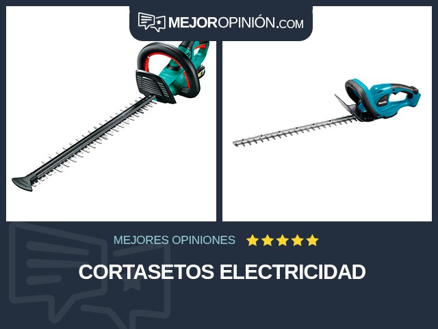 Cortasetos Electricidad