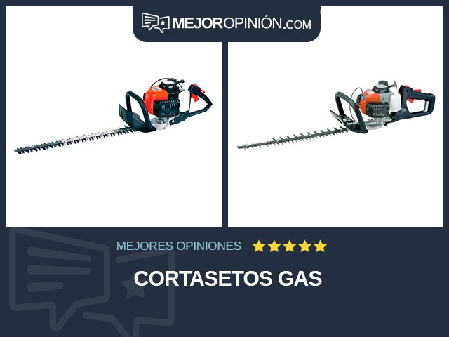 Cortasetos Gas