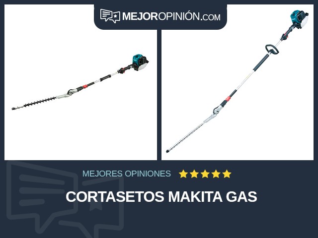 Cortasetos Makita Gas