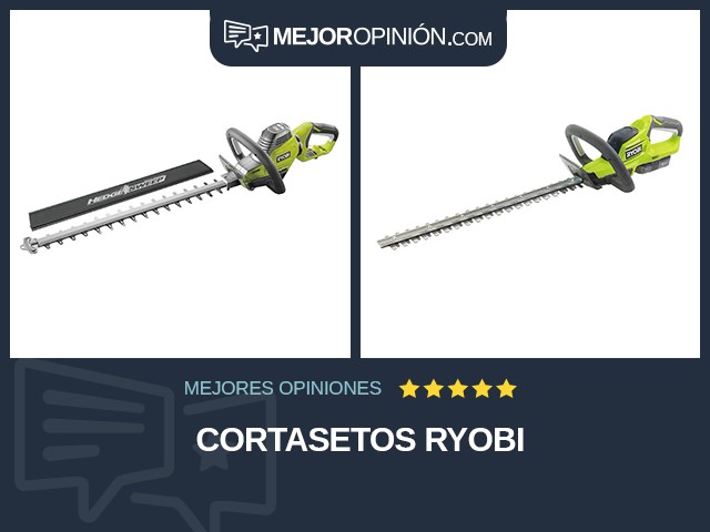 Cortasetos RYOBI