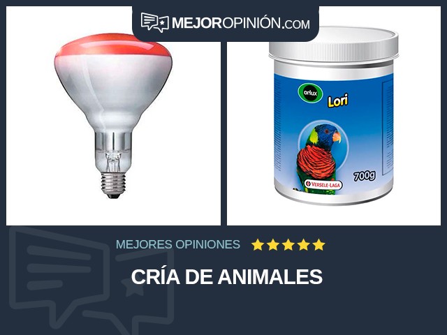 Cría de animales