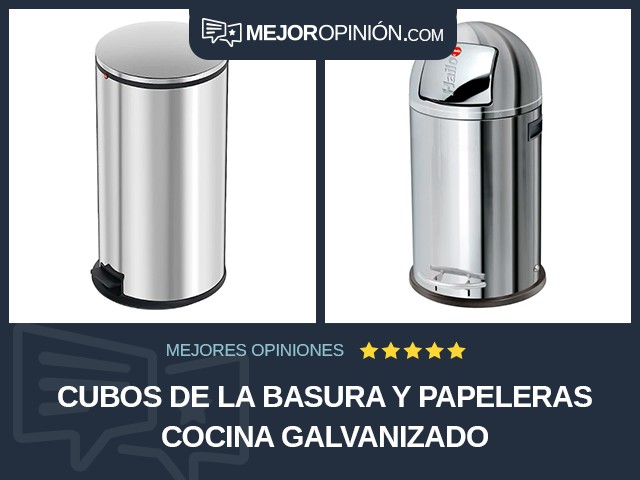 Cubos de la basura y papeleras Cocina Galvanizado