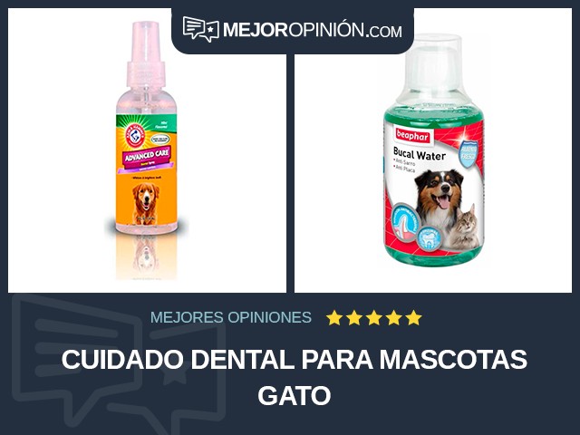 Cuidado dental para mascotas Gato