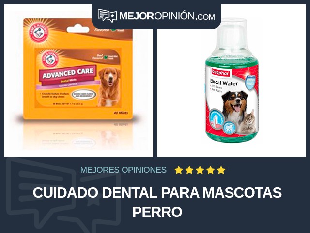 Cuidado dental para mascotas Perro