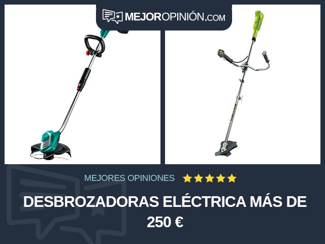 Desbrozadoras Eléctrica Más de 250 €