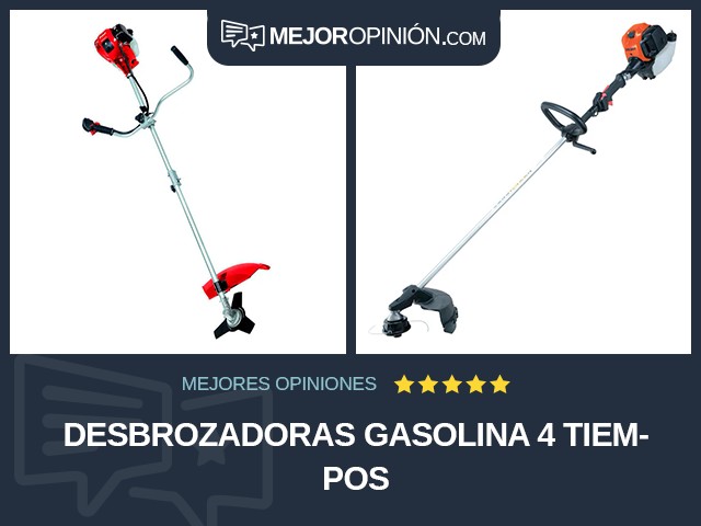 Desbrozadoras Gasolina 4 tiempos