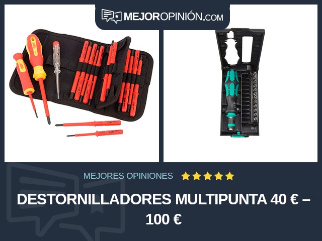 Destornilladores Multipunta 40 € – 100 €