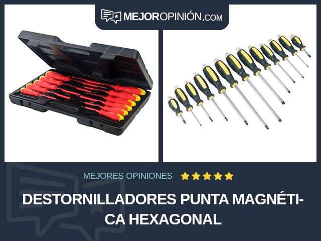 Destornilladores Punta magnética Hexagonal