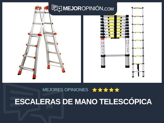 Escaleras de mano Telescópica