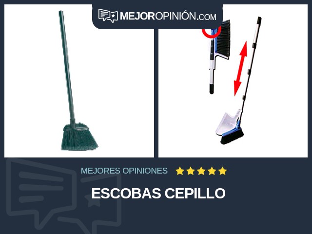 Escobas Cepillo