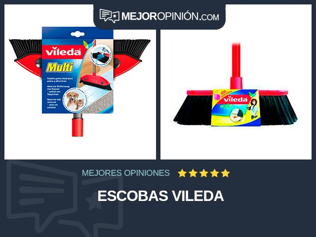 Escobas Vileda