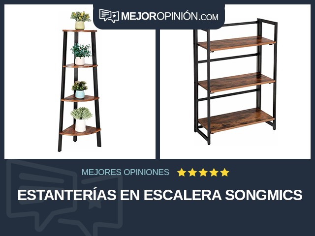 Estanterías En escalera Songmics