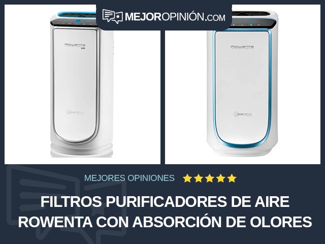 Filtros purificadores de aire Rowenta Con absorción de olores