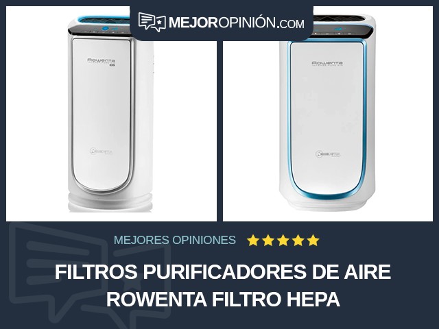 Filtros purificadores de aire Rowenta Filtro HEPA