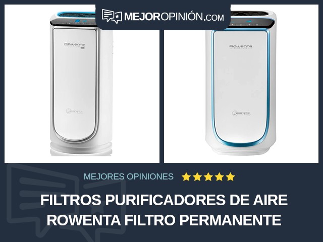 Filtros purificadores de aire Rowenta Filtro permanente