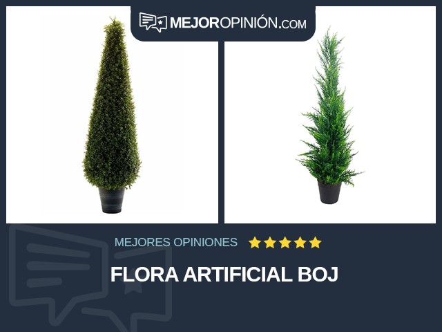 Flora artificial Boj