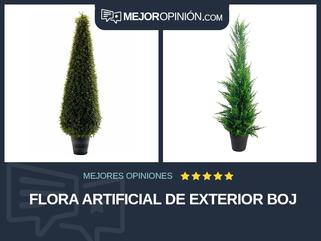 Flora artificial De exterior Boj