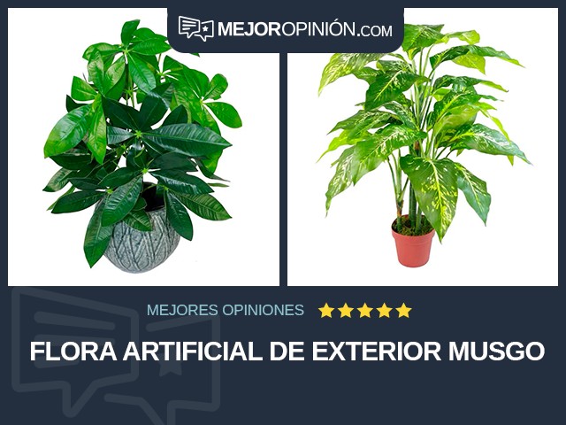 Flora artificial De exterior Musgo