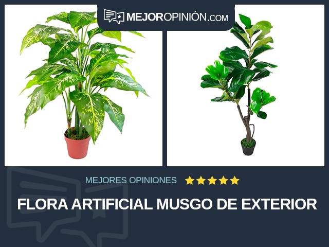 Flora artificial Musgo De exterior