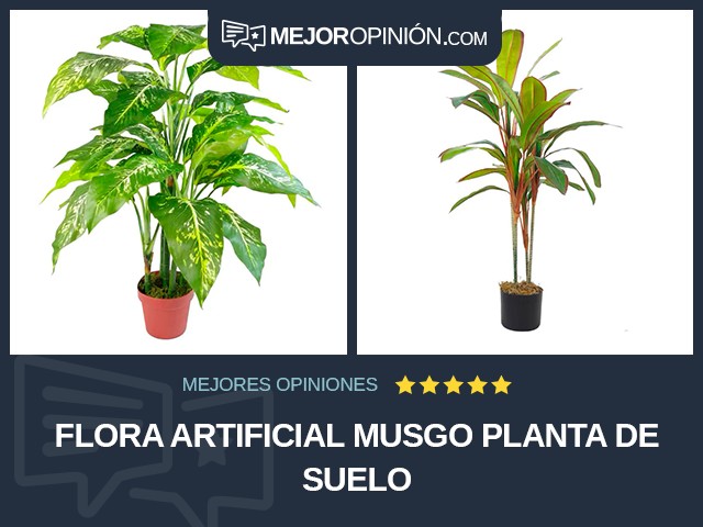 Flora artificial Musgo Planta de suelo