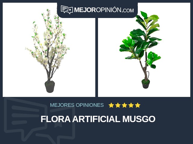 Flora artificial Musgo