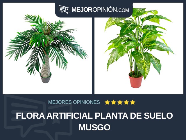 Flora artificial Planta de suelo Musgo