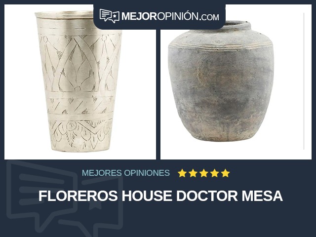 Floreros House Doctor Mesa