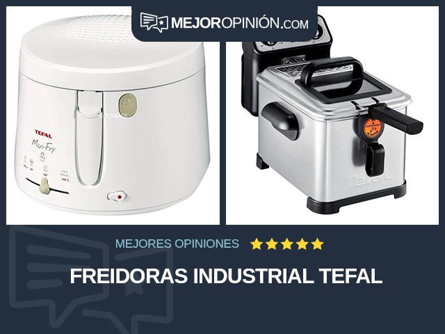 Freidoras Industrial Tefal