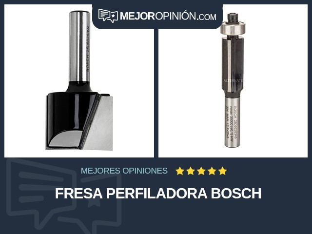 Fresa perfiladora Bosch