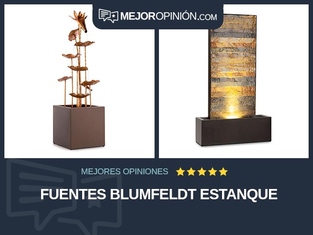 Fuentes Blumfeldt Estanque