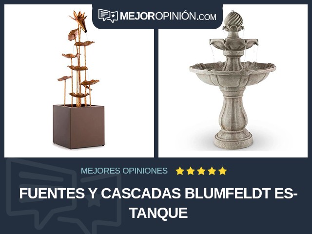 Fuentes y cascadas Blumfeldt Estanque